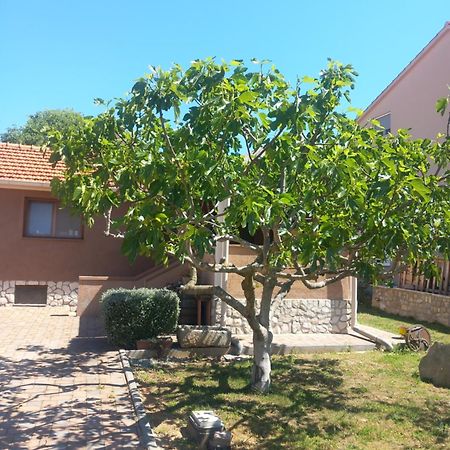Apartmani Goga Biograd Na Moru Bagian luar foto