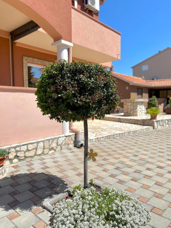 Apartmani Goga Biograd Na Moru Bagian luar foto