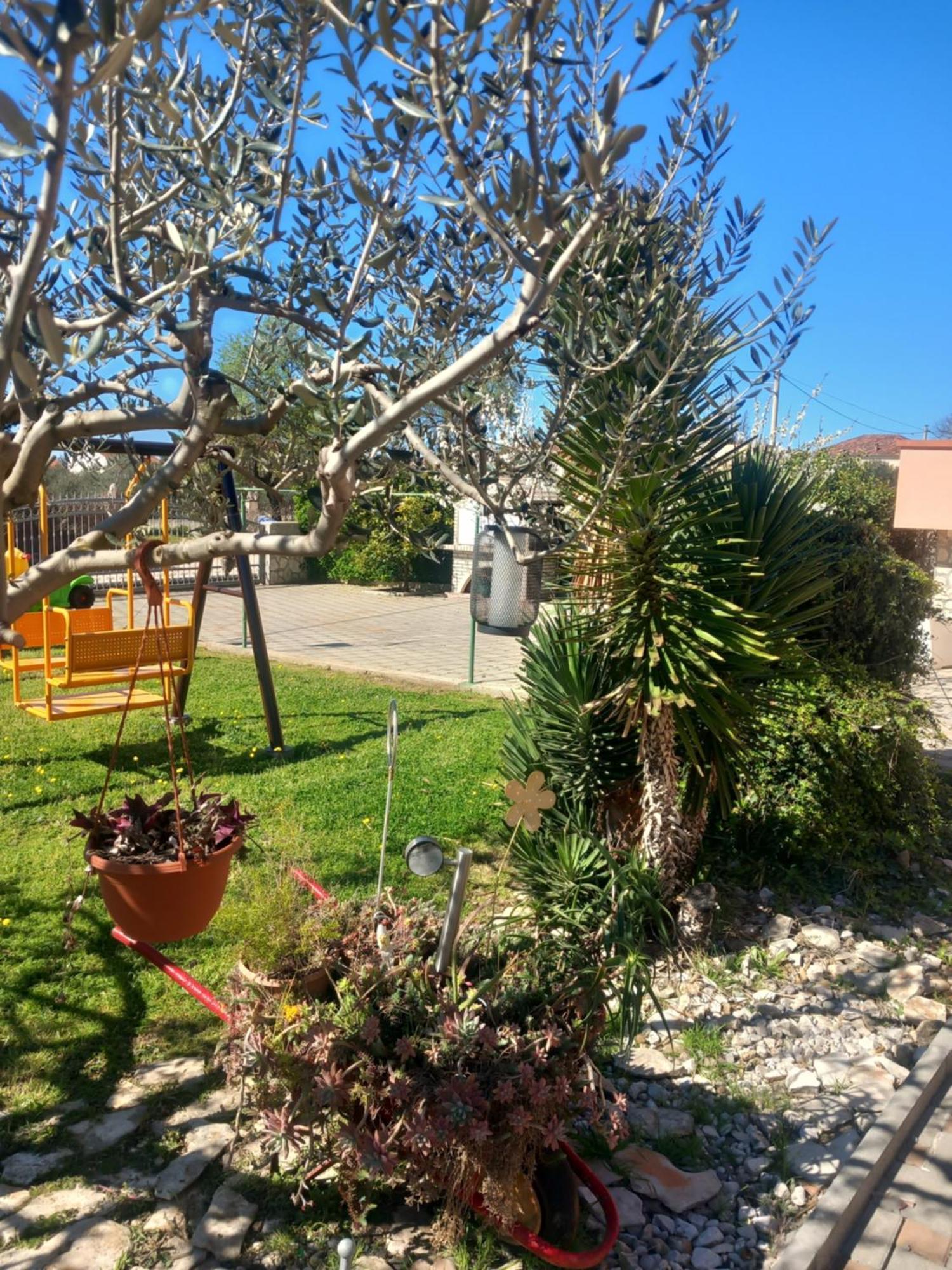 Apartmani Goga Biograd Na Moru Bagian luar foto