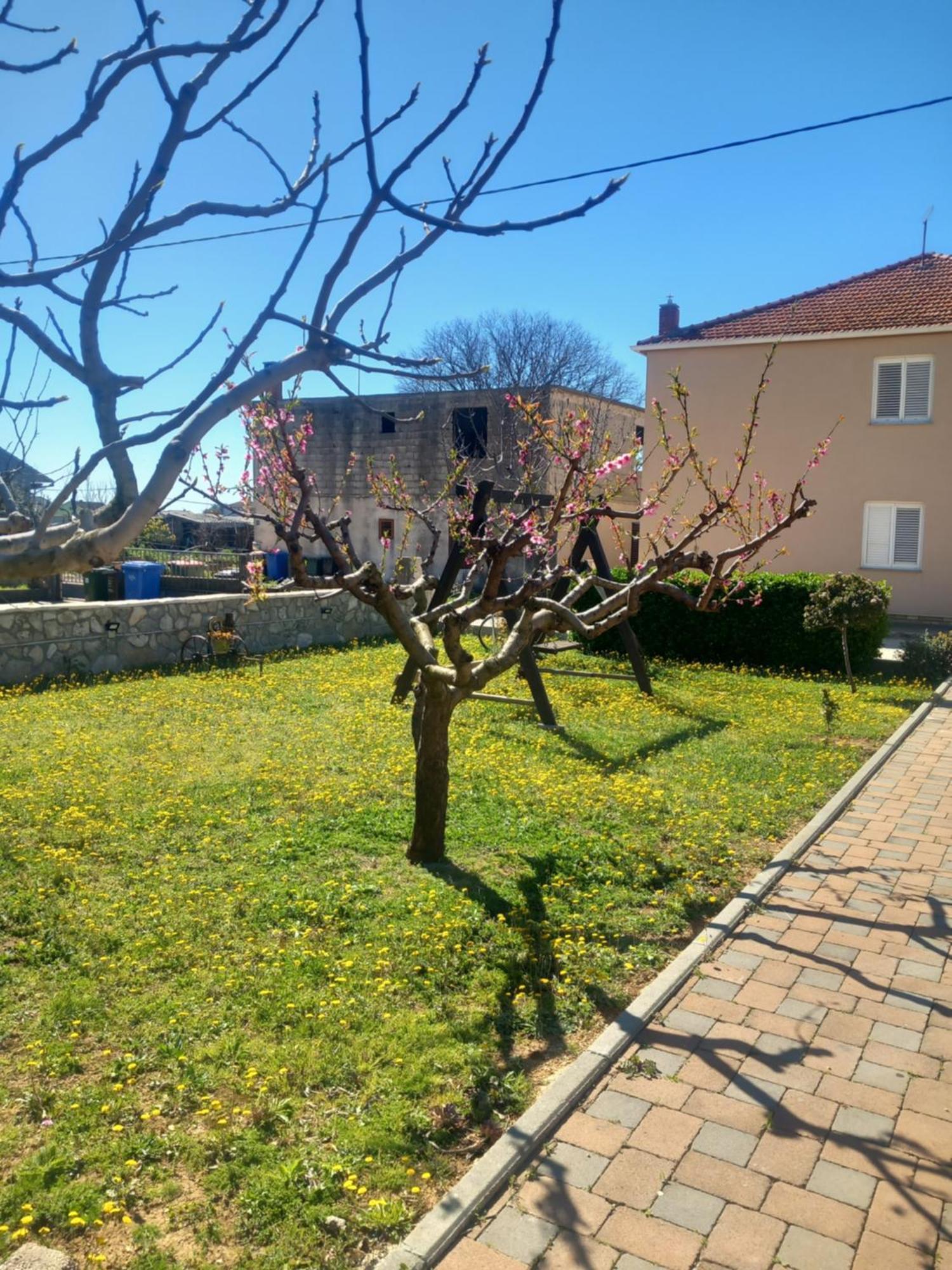 Apartmani Goga Biograd Na Moru Bagian luar foto