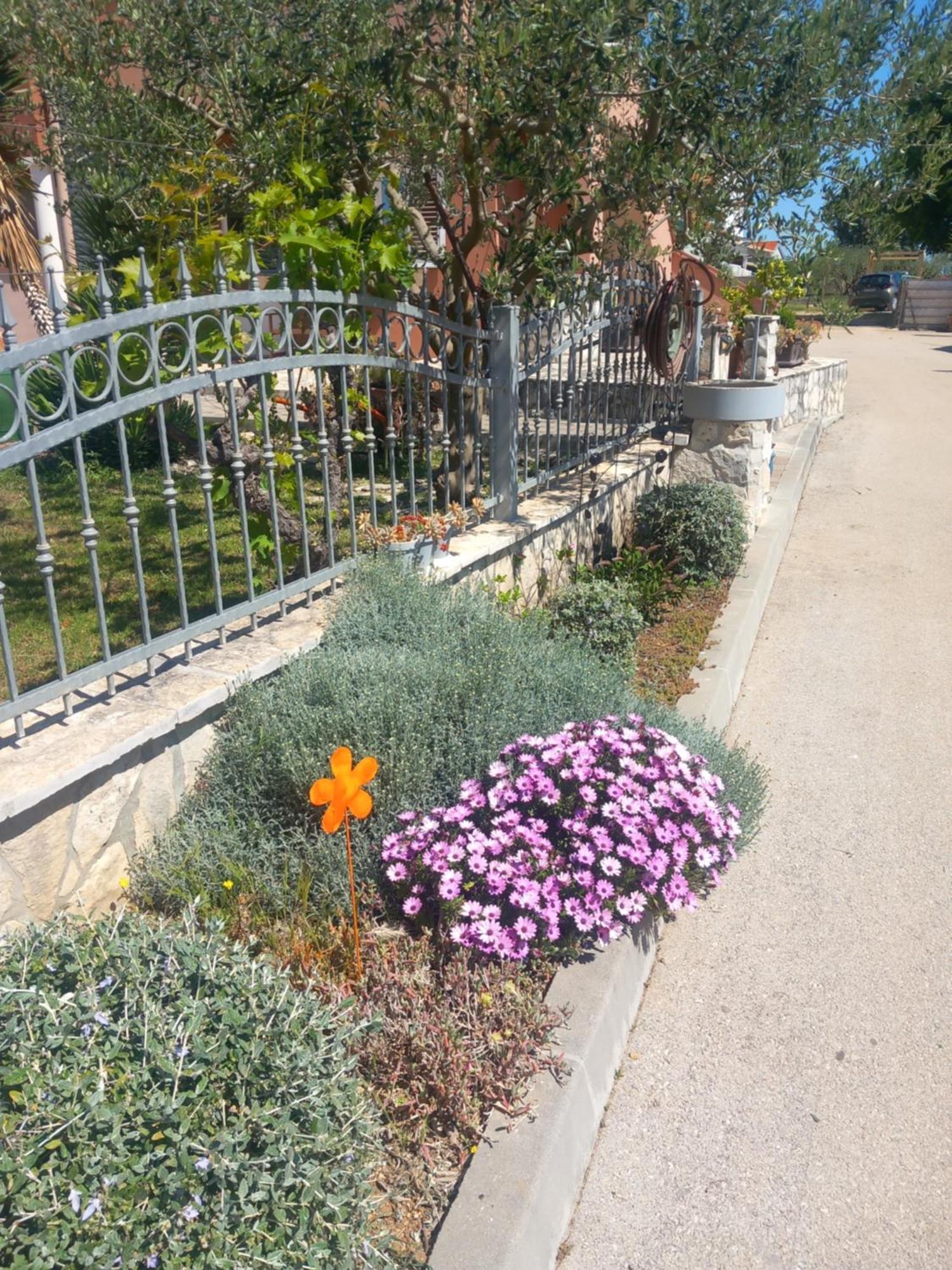 Apartmani Goga Biograd Na Moru Bagian luar foto