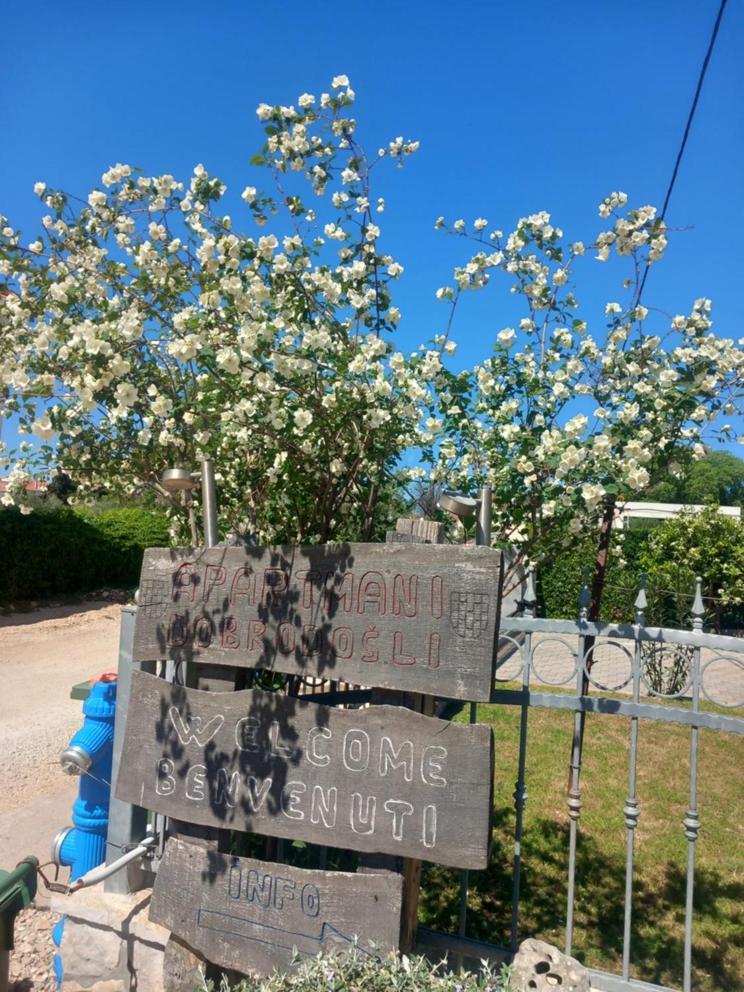 Apartmani Goga Biograd Na Moru Bagian luar foto