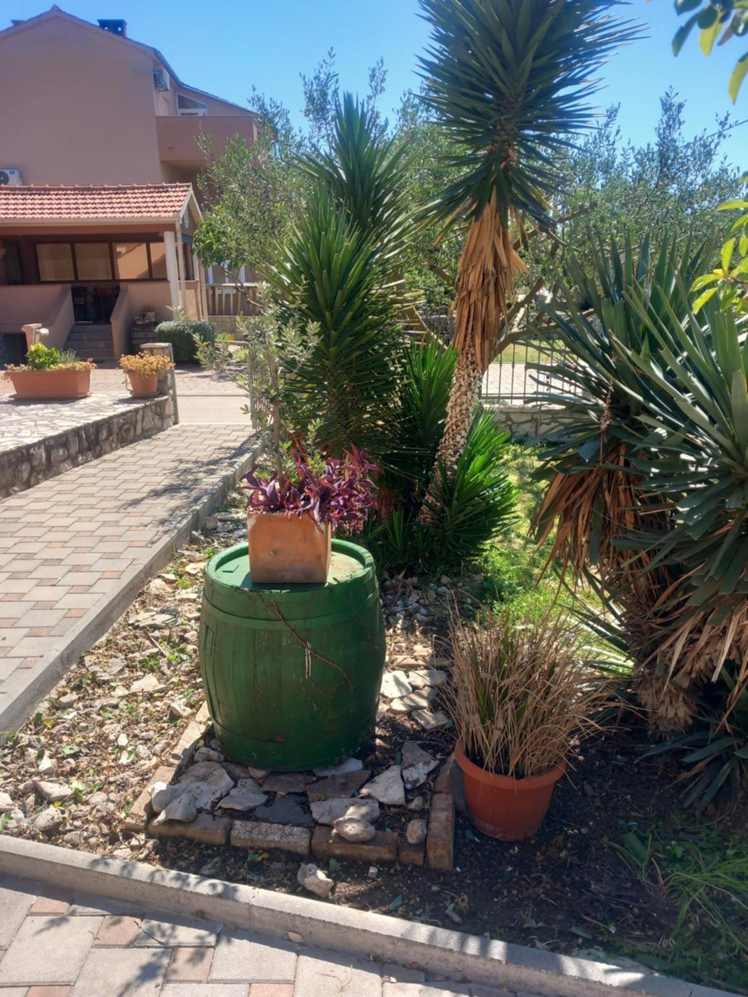 Apartmani Goga Biograd Na Moru Bagian luar foto
